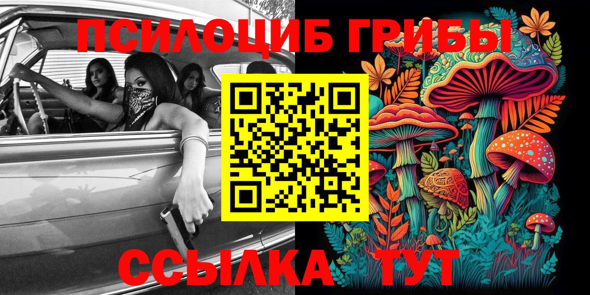 Псилоцибиновые грибы Psilocybe Тайшет